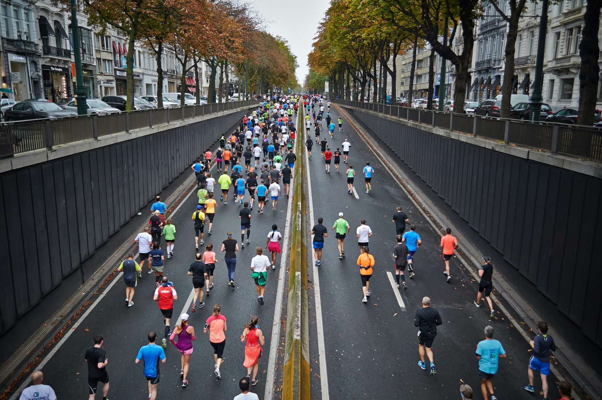 A large group of runners participating in a marathon on a divided road lined with autumn-colored trees and urban buildings in the background.