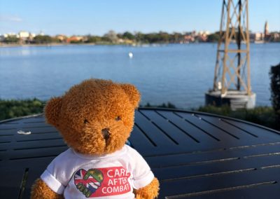 Teddy bear wearing a Care After Combat T-shirt for the Operation PAWSIBLE campaign sitting on a table beside a lake, with water, trees, and a tower structure in the background on a sunny day.